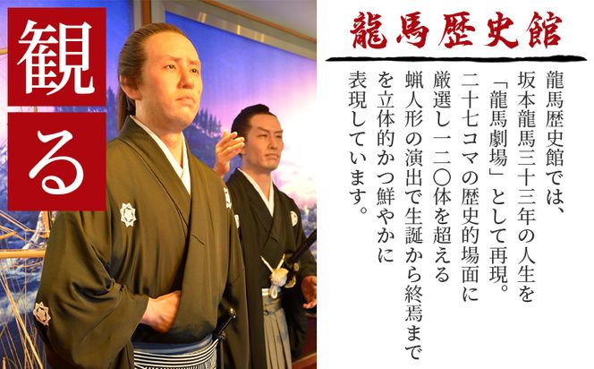 龍馬歴史館ペアチケット ak-0002