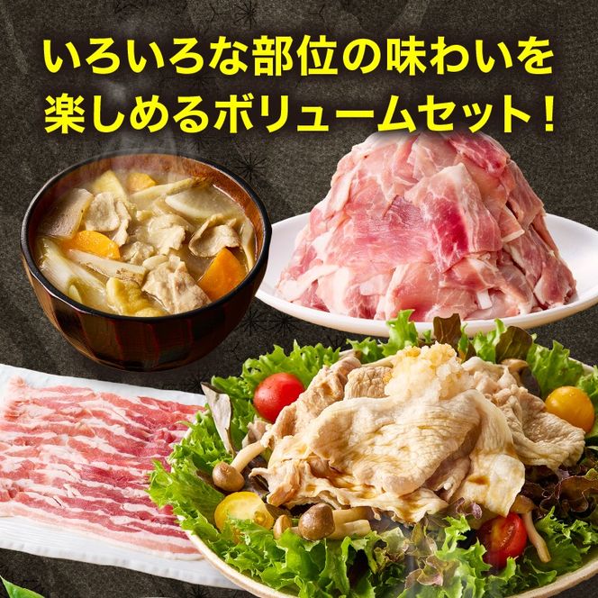 【部位食べ比べ】ホエー豚お楽しみセット 4kg（国産 豚肉 小分け 豚バラ 豚ロース しゃぶしゃぶ 豚バラスライス 豚 宮崎 小林市 人気 冷凍）