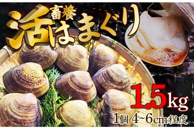 ys{Osz{{͂܂ 1.5kg@MN00055