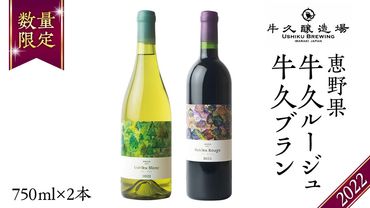 恵野果 牛久ルージュ 2022・恵野果　牛久ブラン 2022 の 750ml×2本セット 茨城県産 牛久醸造場 日本ワイン ワイン 赤ワイン 白ワイン 750ml ミディアムボディ お酒 贈り物 葡萄 ぶどう [BJ059us]