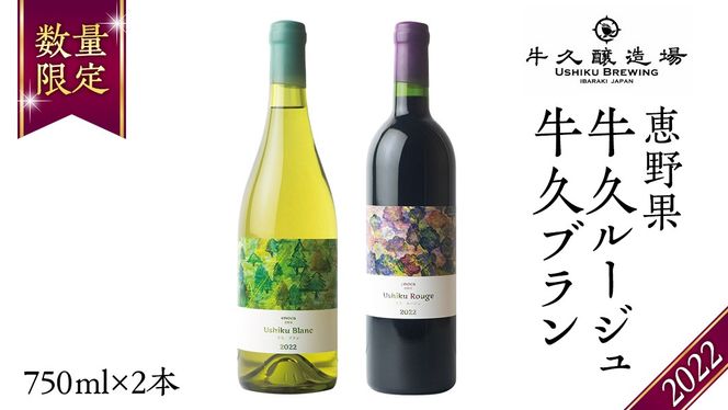 恵野果 牛久ルージュ 2022・恵野果　牛久ブラン 2022 の 750ml×2本セット 茨城県産 牛久醸造場 日本ワイン ワイン 赤ワイン 白ワイン 750ml ミディアムボディ お酒 贈り物 葡萄 ぶどう [BJ059us]