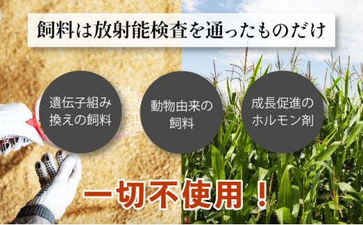 定期便も選べる！ 登別牛100％使用ハンバーグ 120g×5個（単品／定期便）