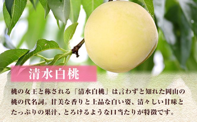 【 2027年 先行予約】 桃 岡山県産 どれも食べたい！岡山の桃 3種 満喫 プラン 3回 コースB ( 加納岩白桃 ・ 清水白桃 ・ 白皇 各1.2kg)《2027年6月下旬-8月中旬頃出荷》白桃 数量限定 期間限定 定期便