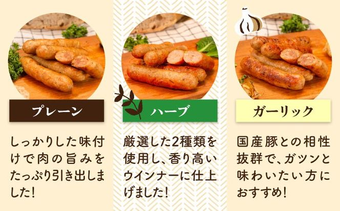 生ウインナー 40本(5本×8種) ＋ ビーフジャーキー 糸島市 / 志摩スモークハウス[AOA041] 詰め合わせ セット ギフト ソーセージ ウインナー ビーフジャーキー 豚肉 牛肉