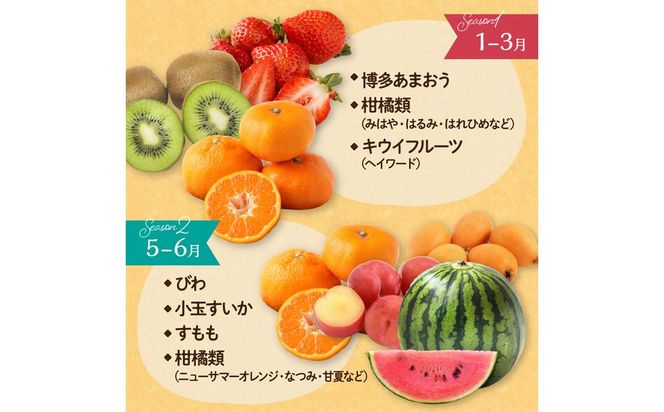 何が届くかお楽しみ！むなかた旬のフルーツ福袋セット【JAほたるの里】_HA1541