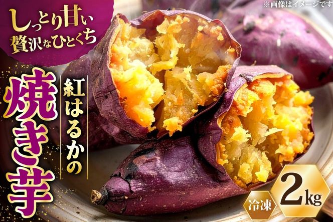 y茧szAJ311 ⓀĂQkg [₫ Ă ܂ g͂邩 VNXC[g VNXEB[g 茧 s ]