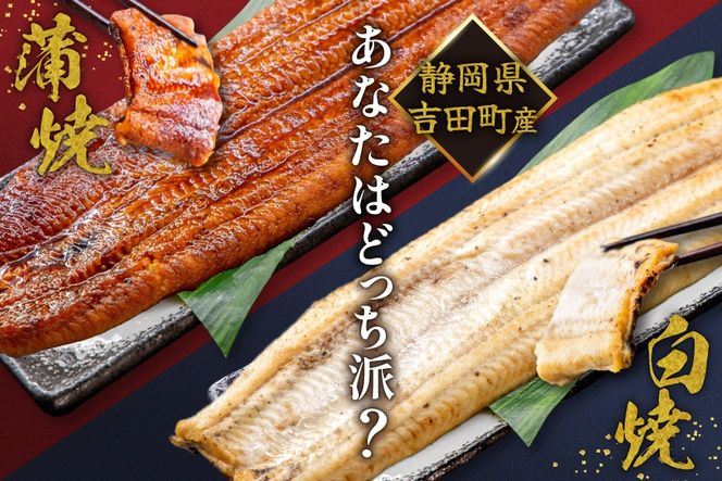 うなぎ 国産 静岡 うなぎ蒲焼 白焼 各130g 以上 各 1尾 計 2尾 6回 計12尾 タレ 山椒 付き [大井川うなぎ 静岡県 吉田町 22424764] 静岡県産 鰻 ウナギ ungai 蒲焼き うなぎ蒲焼き 鰻蒲焼 真空パック 冷凍 ◎