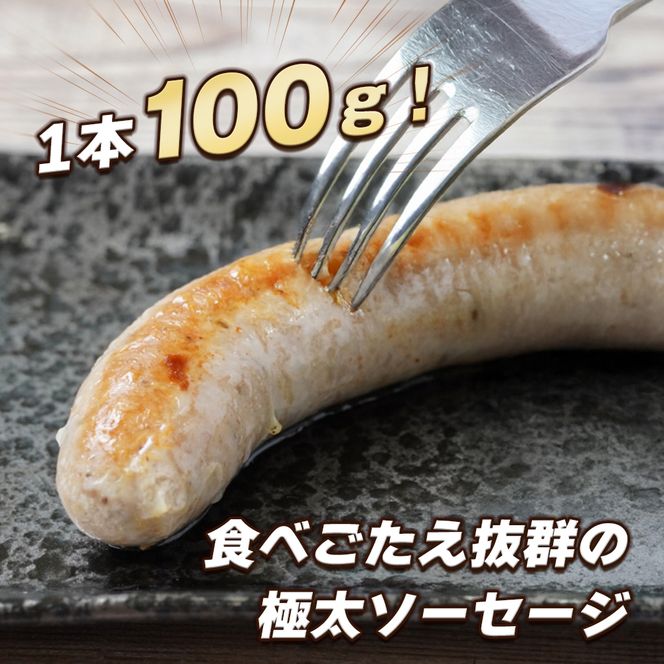 生ポークソーセージ　15本入 ソーセージ