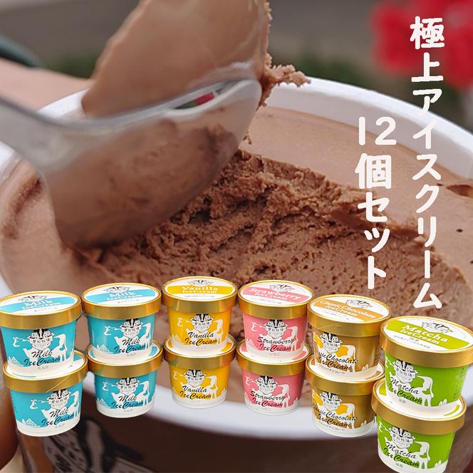 【テレビで紹介されました！】愛知牧場 冷凍スイーツセット（アイスクリーム 12個・カタラーナ 2箱・半熟 チーズケーキ 2箱） お菓子 焼菓子 フルーツ 新鮮 ミルク バニラ チョコ いちご 抹茶