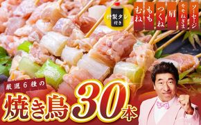 099H3403 桜文 焼き鳥 6種30本セット やきとりのタレ付き 個包装