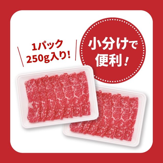 宮崎県産黒毛和牛赤身スライス切落し1.5kgセット　K65_0003