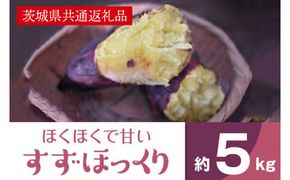 ホクホクで甘いさつまいも すずほっくり5kg（茨城県共通返礼品・行方市産）(AK205)
