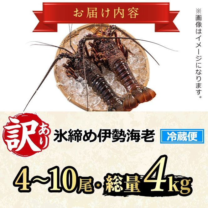 【1353211a】＜訳あり＞朝獲れ発送！鮮魚問屋が厳選した氷締め伊勢海老(4～10尾・総量4kg以上) 伊勢エビ 伊勢えび 刺身 さしみ えび 海老 魚介類 海鮮 刺身 塩焼き 訳あり 訳アリ 【江川商店】