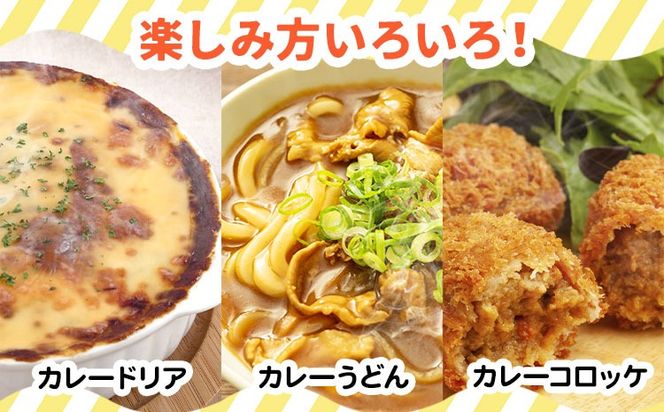 特選レトルトカレー 6食セット 中尾畜産株式会社（とんかつなかお）《90日以内に出荷予定(土日祝除く)》茨城県 結城市 国産豚肉使用 加工食品 惣菜 レトルトカレー 豚肉 カレー---yuki_nko_1_1200g---