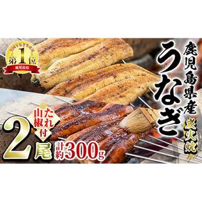 【0174321a】東串良町のうなぎ炭火蒲焼、白焼(無頭)(2尾・計約300g・タレ、山椒付) うなぎ 高級 ウナギ 鰻 国産 白焼き 鹿児島 ふるさと 人気【アクアおおすみ】