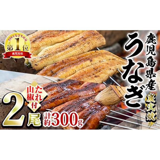 【0174321a】東串良町のうなぎ炭火蒲焼、白焼(無頭)(2尾・計約300g・タレ、山椒付) うなぎ 高級 ウナギ 鰻 国産 白焼き 鹿児島 ふるさと 人気【アクアおおすみ】