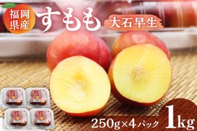 【JAむなかた すもも部会より】すもも(大石早生)1kg(250g×4パック)【JAほたるの里】_HA1254