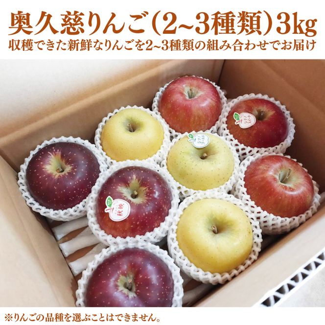旬のおいしい奥久慈りんご食べ比べ 約3kg 【しいなりんご園】※2026年10月中旬頃発送開始予定｜茨城県 大子町 林檎 アップル 詰合せ 旬 果物 フルーツ ギフト 贈答（CI001-1）