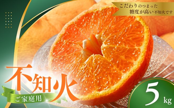 ya̎RI쒬zys\zƒp sm 5kg݁yM`4L̃TCY܂zy2026N1{2026N4{ɏzD_/sm fR|  ݂ k ʕ t[c yagy010Fz