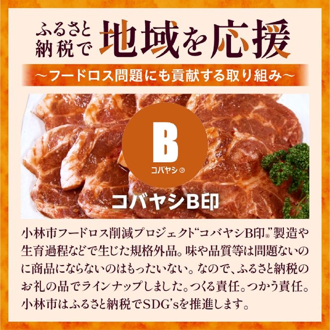 【6/1～寄付額変更】【旨味凝縮！】お肉屋さんの宮崎ポーク熟成味噌漬け 10枚（国産 肉 豚肉 国産豚 ロース ポーク 味噌漬け 小分け ステーキ 冷凍）