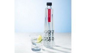 国産ウォッカ『碧の海』500ml瓶×２本 純国産 アルコール 酒 蒸留酒 スピリッツ ウォッカ ストレート ショット カクテル 沖縄 サトウキビ 白樺炭 H044-049