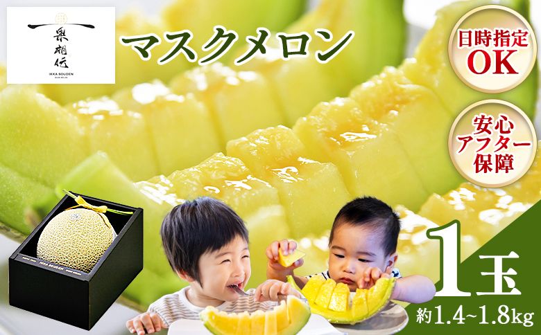 メロン [2週間程度で発送]一果相伝マスクメロン 1玉入り 篤農 tn-0010