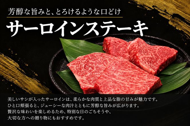 佐賀牛ステーキセット(モモ・ロース又はサーロイン 計4枚)【牧場直送 A5 A4 厳選 黒毛和牛 牛肉 国産牛 霜降り サシ 赤身 やわらかい 上品 甘み 食べ比べ】(H106239)