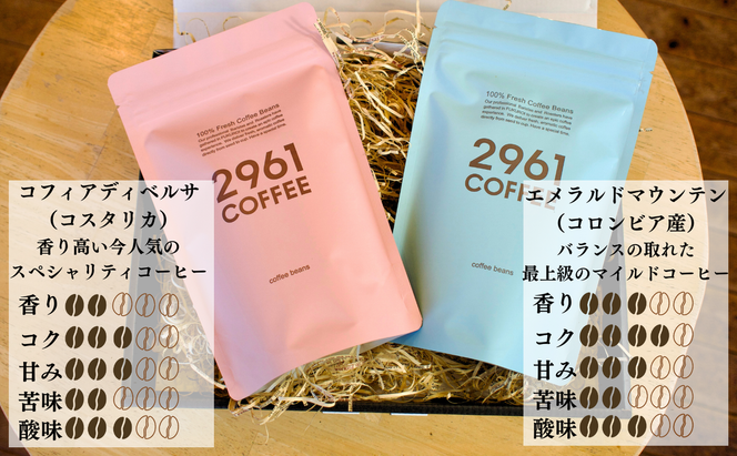 ブラジル珈琲鑑定士おすすめ！ 自家焙煎珈琲 極上 スペシャルティセット ギフト 贈り物 プレゼント 人気 厳選 コーヒー 袋井市 コーヒー豆 珈琲豆 詰め合わせ 