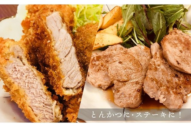 豚ヒレブロック3本(計約1.2kg～1.5kg)豚肉 とんかつ ステーキ 宮崎県産 個包装 真空パック 冷凍【AP-19】【日向屋】