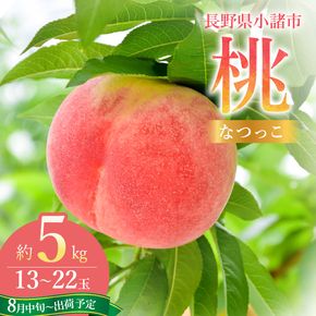 【オンライン決済限定】【2026年8月中旬～発送予定】 桃 先行予約 浅間水蜜桃 なつっこ 約5kg 秀品 13～22玉 贈答品 フルーツ 果物 白桃 甘い 冷蔵