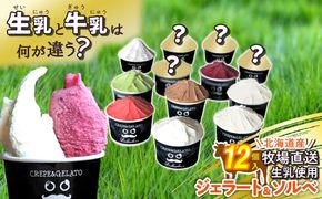 北海道産 生乳 ジェラート アイス 12個入り ジェラートセット