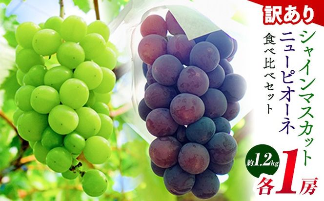 岡山県産 訳あり ニューピオーネ シャインマスカット 詰め合わせ 約1.2kg 2房 葡萄 果物 訳あり 優品 岡山県 笠岡市《9月上旬～10月下旬頃に出荷予定(土日祝除く)》数量限定 種なしぶどう---kasaoka_zsy_252_12s---