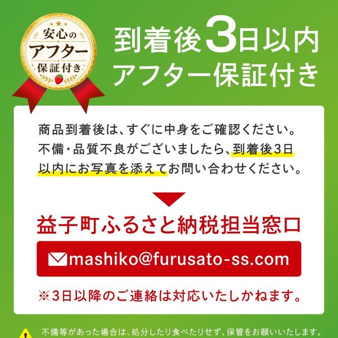 【2027年1月発送開始】【先行予約】【数量限定】大粒プレミアムいちご スカイベリー 12粒 (約400g) | 栃木県 ふるさと納税 高級いちご 贈答用 イチゴ 苺 果物 フルーツ スカイベリー 熟成 大粒いちご こだわり (DS004)