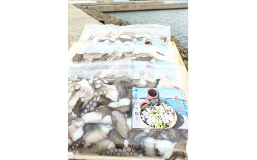 たこ 岬だこブツ切り200g×3パック食べきりサイズ！ たこ タコ 蛸 B2-28