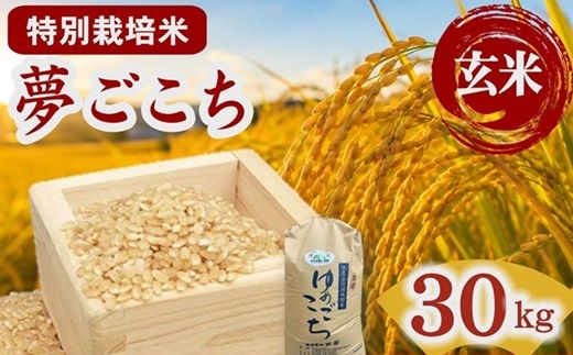 夢ごこち（特別栽培米）玄米 30㎏【002116C】