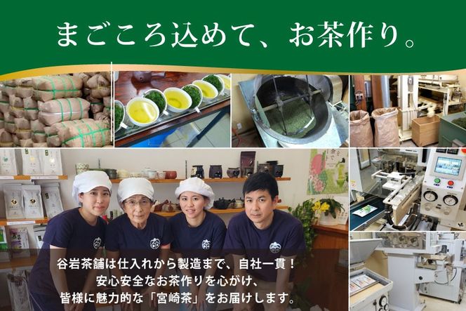 お茶 緑茶 深蒸し煎茶 深緑 100g×1本 [谷岩茶舗 宮崎県 日向市 452061604] 茶葉 プラチナ賞