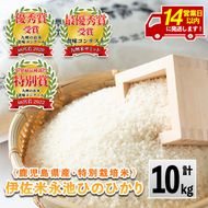A4-06 ＜14営業日以内に発送！＞《数量限定》令和7年産 特別栽培米 伊佐米永池ひのひかり(10kg) 伊佐市 永池 特産品 伊佐米 九州米サミット 食味コンテスト 最優秀賞受賞 ヒノヒカリ 10kg 【エコファーム永池】