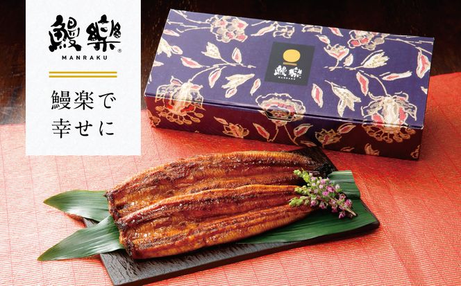 【先行予約】 うなぎ蒲焼2尾セット（150g×2尾）合計300g　たれ・山椒付き  鰻 うなぎ ウナギ 国産 冷凍 うな重 蒲焼 丑の日 鰻楽 熊本県 八代市 【2026年10月中旬より順次発送】