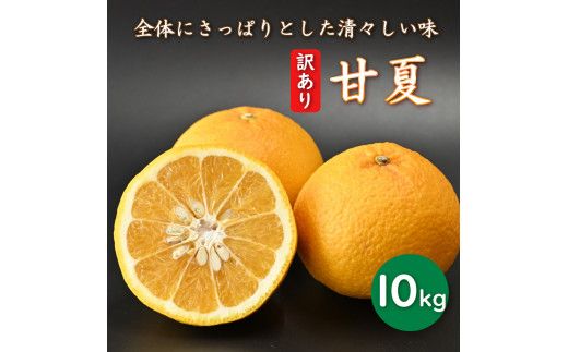 先行予約 訳あり 減農薬 甘夏 10kg 愛南フルーツ サイズミックス サイズ混合 不揃い 柑橘 蜜柑 愛媛 みかん あまなつ 果物 フルーツ 産地 産直 発送期間：2024年2月20日～ 4月20日