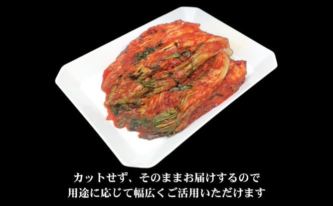 精肉店の直営焼肉【焼肉大剛】肉汁爆発！オリジナル 本格白菜キムチ 900g │ 漬物 おつまみ 惣菜 大容量 韓国料理 晩酌の友 ごはんのお供 発酵食品 酒の肴 晩酌 リピーター 高評価 焼き肉 BBQ 冷蔵便 三重県 四日市市 