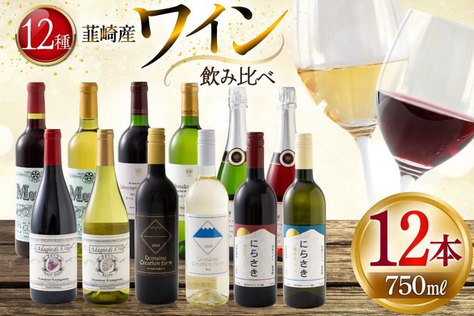 韮崎産 赤白スパークリング12本 お得な飲み比べセット 750ml ×11本 720ml ×1本 [株式会社まあめいく 山梨県 韮崎市 20745323] ワイン Wine わいん 赤ワイン 白ワイン 飲み比べ セット お酒 酒 山梨ワイン 甲州 スパークリング