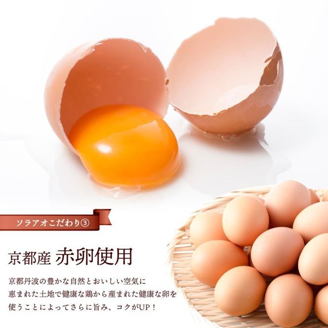 【ソラアオ】アイスチーズケーキサンド 2箱セット 12個入り | 京都 チーズケーキ専門店 アイス  人気セット［ 京都  チーズケーキ専門店 スイーツ アイス アイスサンド 人気 おすすめ 洋菓子 お取り寄せ 通販 送料無料 ふるさと納税 ］ 261009_B-QW11