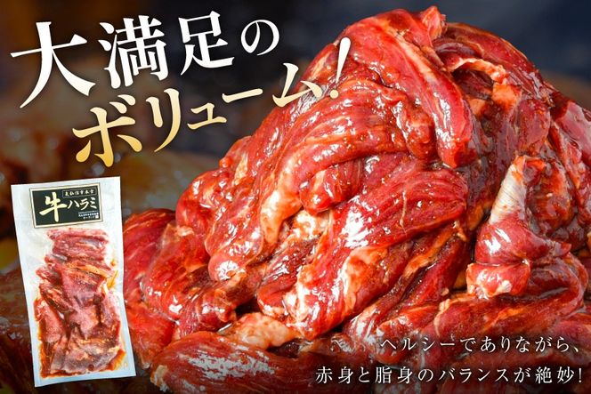 大人気！特製タレ漬 牛ハラミ たっぷり 計1.5kg(300g×5p) [モ～ランド 宮城県 気仙沼市 20563342] 牛肉 肉 焼肉 ハラミ はらみ サガリ タレ BBQ おすすめ 焼き肉 焼肉セット 焼肉用 小分け 冷凍