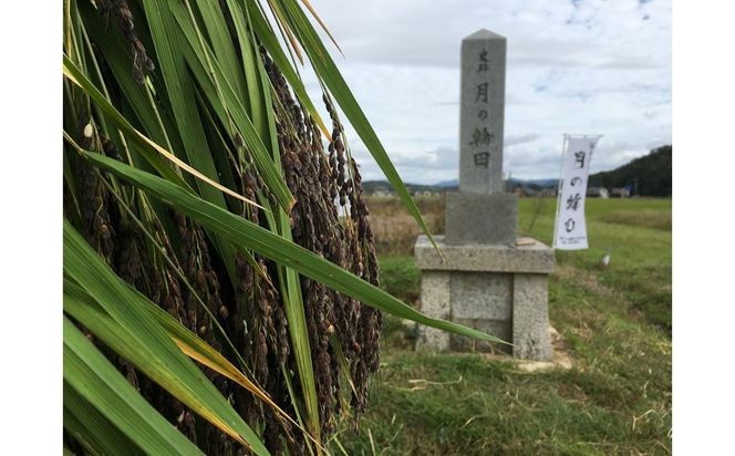 稲作発祥の地。未来へつなぐ「月の輪田・清水戸」の保全と魅力発信に関する活動支援 1口 50,000円【返礼品なし】 京都府 京丹後市 地域応援 地域支援 活動応援 活動支援 京都 丹後 返礼品なし　WK00011