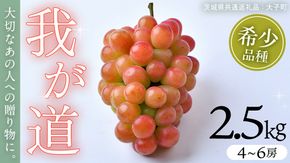 我が道 2.5kg (4～6房)【2026年8月下旬発送開始】(茨城県共通返礼品：大子町) シャインマスカット ウインク 葡萄 ブドウ ぶどう 果物 フルーツ 希少 新品種
