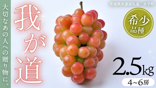 我が道 2.5kg (4～6房)【2026年8月下旬発送開始】(茨城県共通返礼品：大子町) シャインマスカット ウインク 葡萄 ブドウ ぶどう 果物 フルーツ 希少 新品種