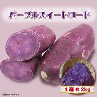 【2025年11月より順次発送】2025年度産 パープルスイートロード 約2kg｜さつまいも 芋 お芋 パープルスイートロード 渋谷農園 先行予約 茨城県 行方市(BZ-54)