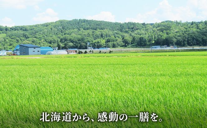 【 最短 10営業日以内発送 】  空知エリア限定米 北海道産 ゆめぴりか3kg【3回お届け】米 精米 最短 10日以内配送 最短配送 北海道米 お米 北海道 赤平市 