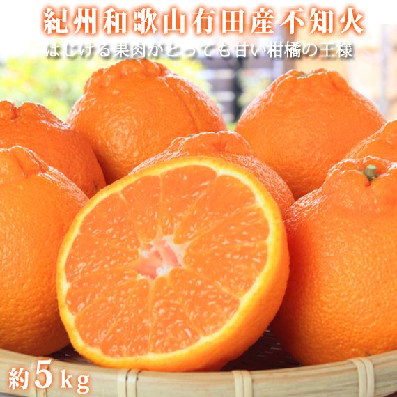 紀州有田産不知火(しらぬひ) 約5kg