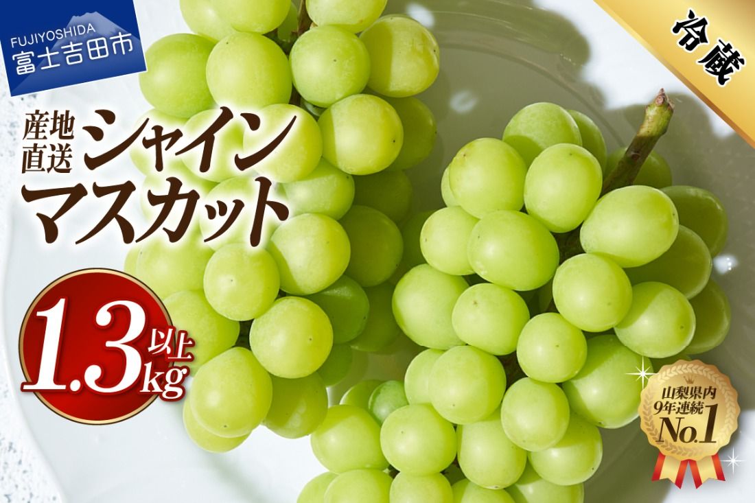 [2026年発送]高級 山梨県産 シャインマスカット 2〜3房 (1.3kg以上) 果物 旬 高級 フルーツ シャイン ぶどう 山梨 富士吉田